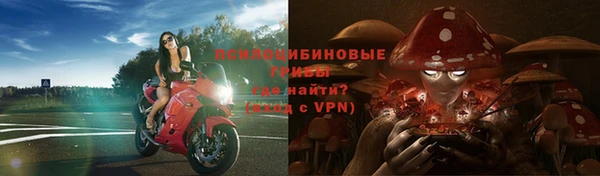 прущий лед Алексеевка