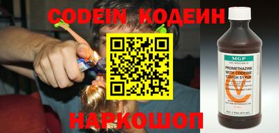 индика Пенза