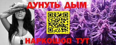 индика Пенза