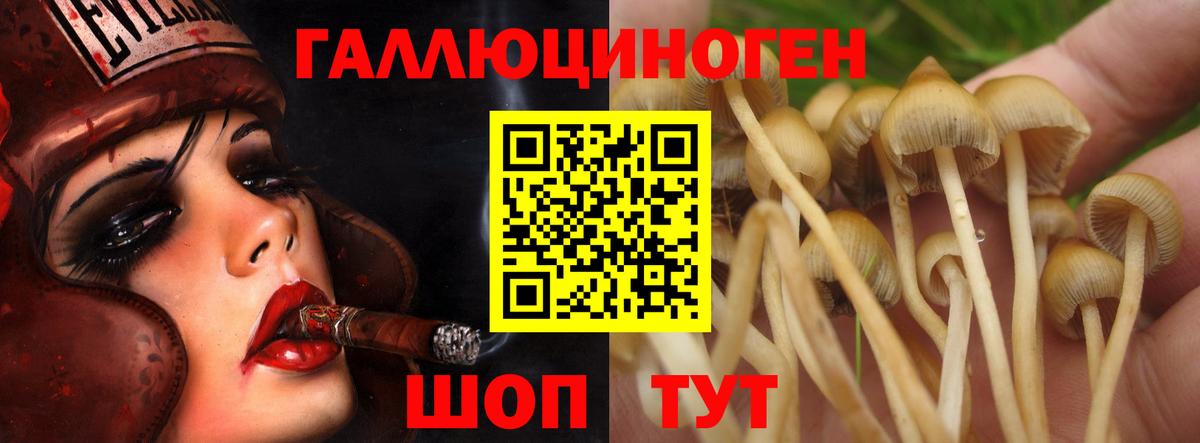 Галлюциногенные грибы ЛСД Южно-Сахалинск